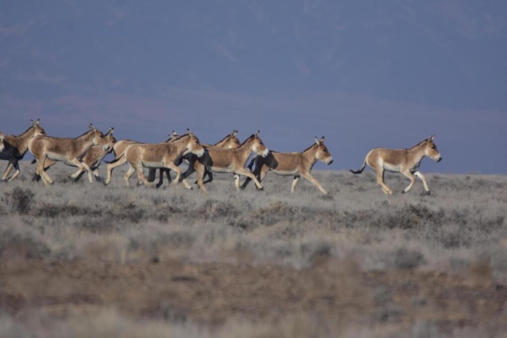 404704e8a14e5803bd020c2dc8559e8c_1280x720