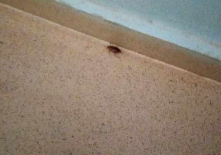 Бұрынғы қызбен жыныстық қатынасқа түсуге болады Мас әйелдің оральды жыныстық қатынасқа түсуі порнографиясын қараңыз