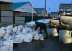 Батыс Қазақстан облысында су тасқынына қарсы жұмыс жалғасып жатыр 