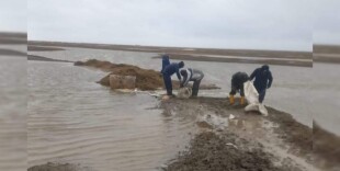 Казталов ауданы: Болашақ ауылына су тасқынынан қауіп жоқ