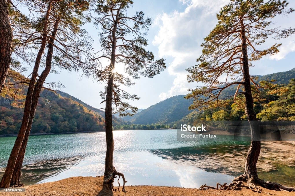 istockphoto-1179369706-2048x2048