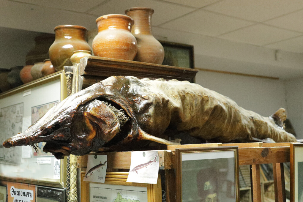 рыбалка старый уральск (1)