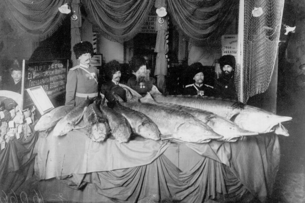 рыбалка старый уральск (3)