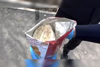 WhatsApp Image 2024-04-26 at 11.46.25