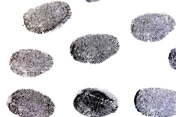 fingerprint-456486_1280