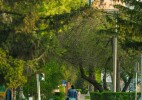 Вопросы озеленения города рассмотрели в Уральске