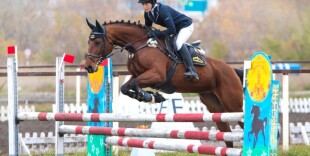 Кубок мира по конному спорту: Казахстан выиграл 2 медали