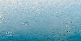 Посевная кампания: о грядущих сильных дождях в РК предупредил акиматы Минсельхоз