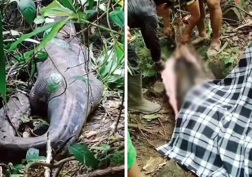 Сексуалдық кеш: Жасырын трахает порно видео Opel Astra N станциялық вагонына арналған тірек