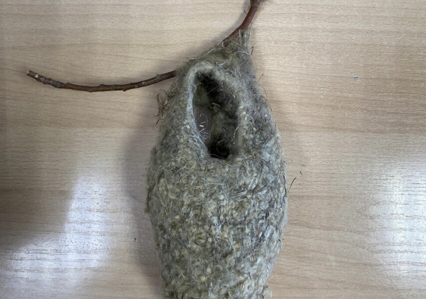 Салқын аққұба өзін еркелетеді