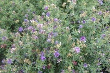 49c6000a854705728d4e7a2e26768261_1280x720