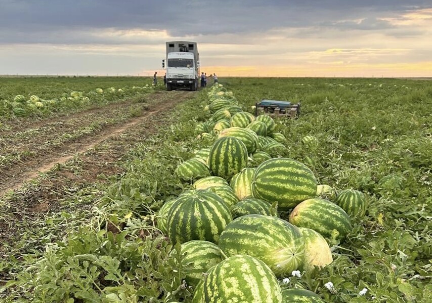 АҚШ теледидарындағы эротикалық бағдарламалар