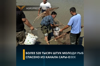 InShot_20240729_110446632