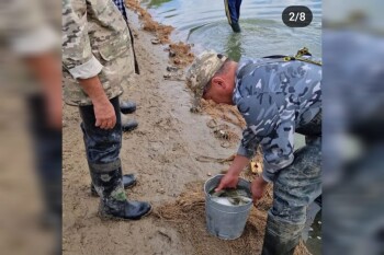 WhatsApp Image 2024-07-10 at 10.52.29