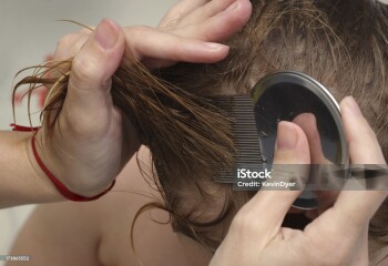 Mum grooming her son of parasitic head lice with a nit comb