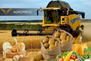 397ce47e99dfcff56e5902138a1fac07_1280x720