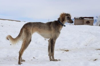 62832ede5c87393305a99c78dca5b824_1280x720