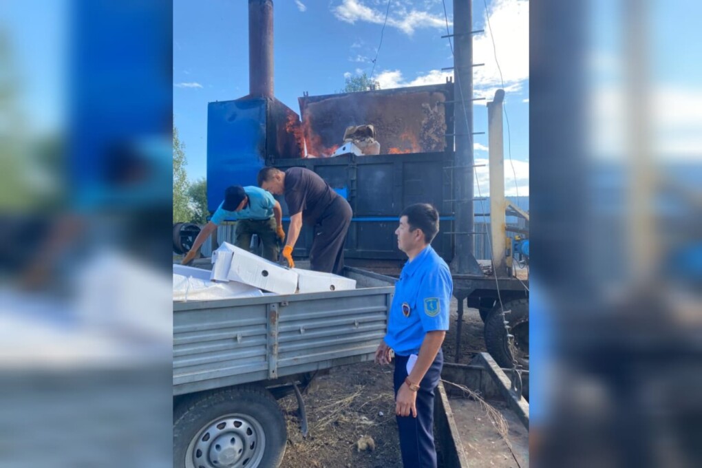 WhatsApp Image 2024-08-02 at 10.05.32