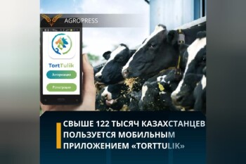 WhatsApp Image 2024-08-05 at 15.13.40