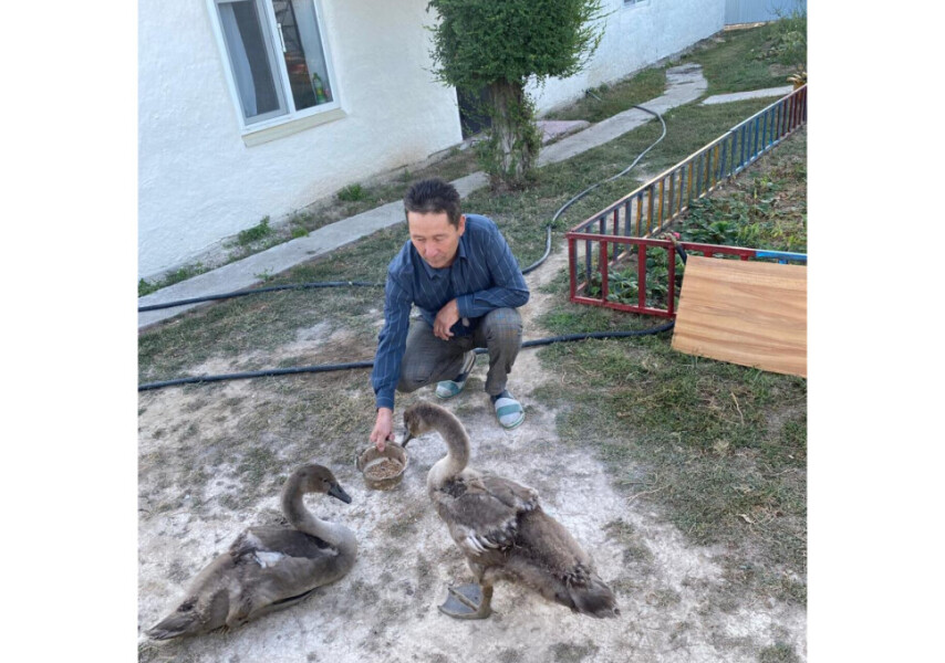 Видео секс стриптиз жақын адам және секс