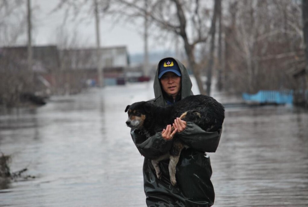 3e045fbda999f6114242a286e7a48bde_1280x720