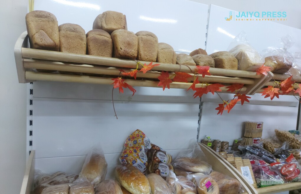 InShot_20241026_170912120