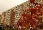 БҚО-да «Қауіпсіз өңір» жобасы аясында 42 көше мен 24 аула жарықтандырылған