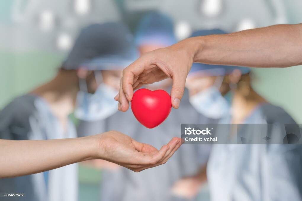 Heart transplant and organ donation concept. Hand is giving red heart.