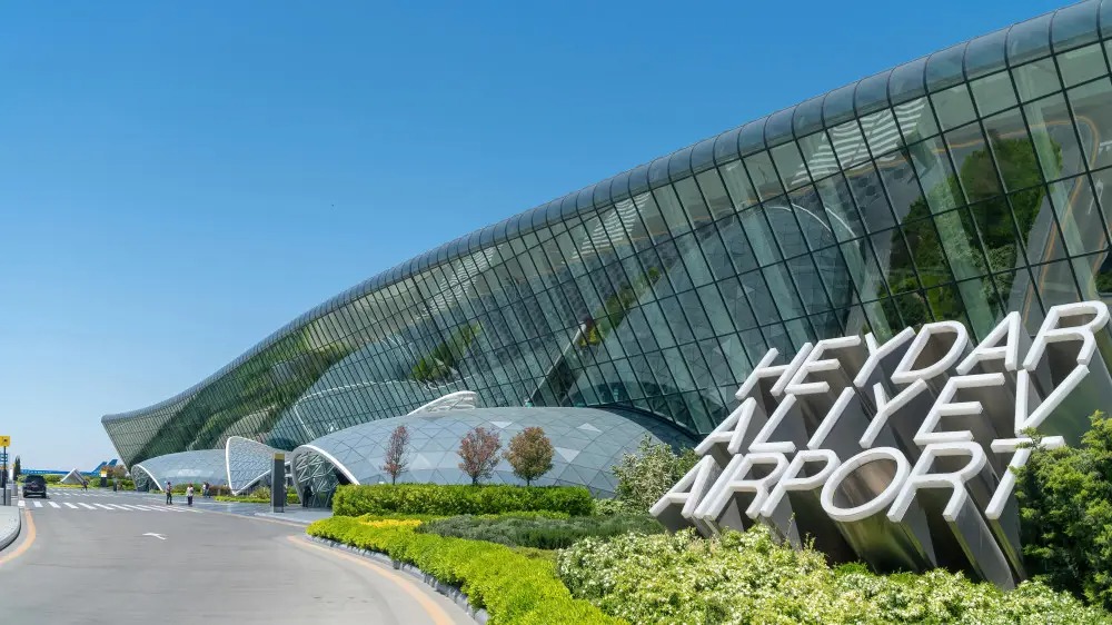 WhatsApp Image 2024-11-11 at 16.44.44