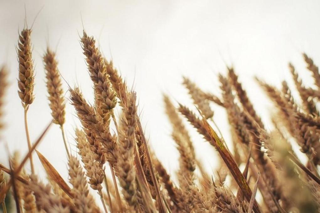 05fb74632431508465eabc94fa4ed6dc_1280x720