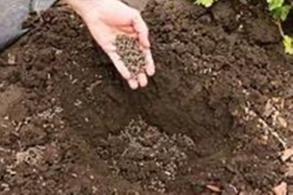 32db4029b093969087b9e046029c98c1_original.16006