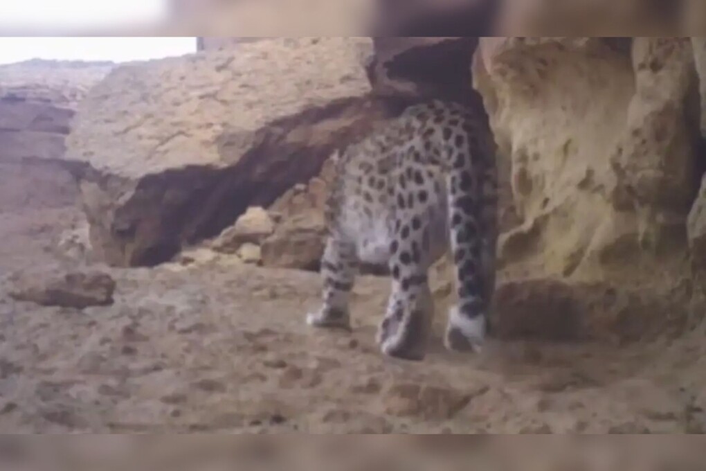 6999a16d-c1ff-412c-a577-04f4a043ca5b ++