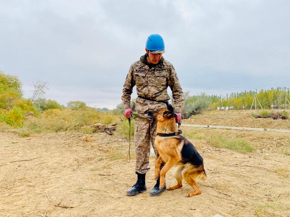 69d31a6a72e8976afaab564459ccb58b_1280x720