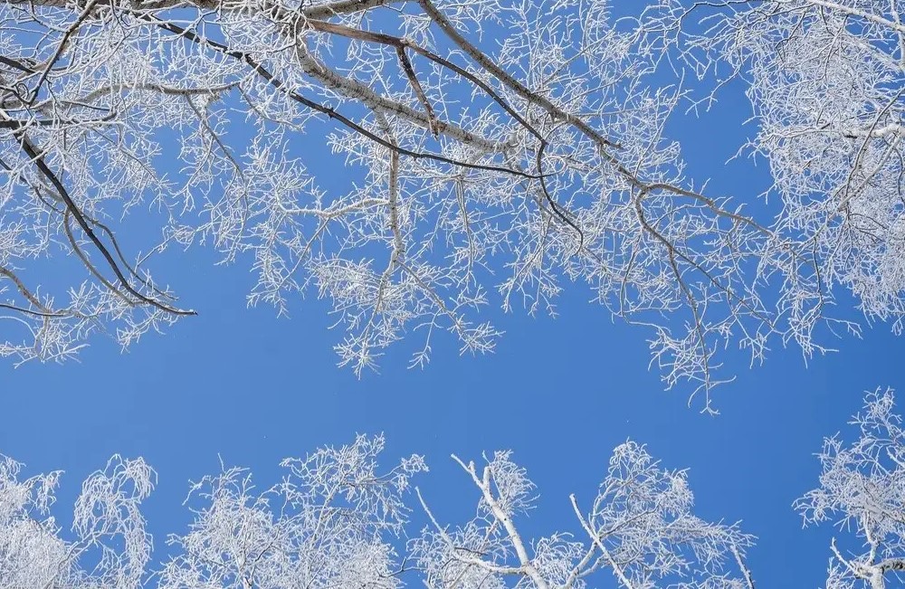 a4c83f2c-f602-4e17-b2d2-d2f1d3bd9612лллл