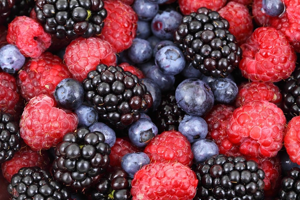 berries-2277_960_720