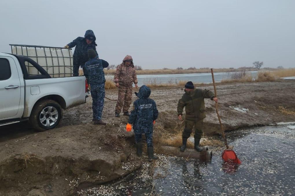 bf77f473540c3f7b3544dbb26f43955d_1280x720