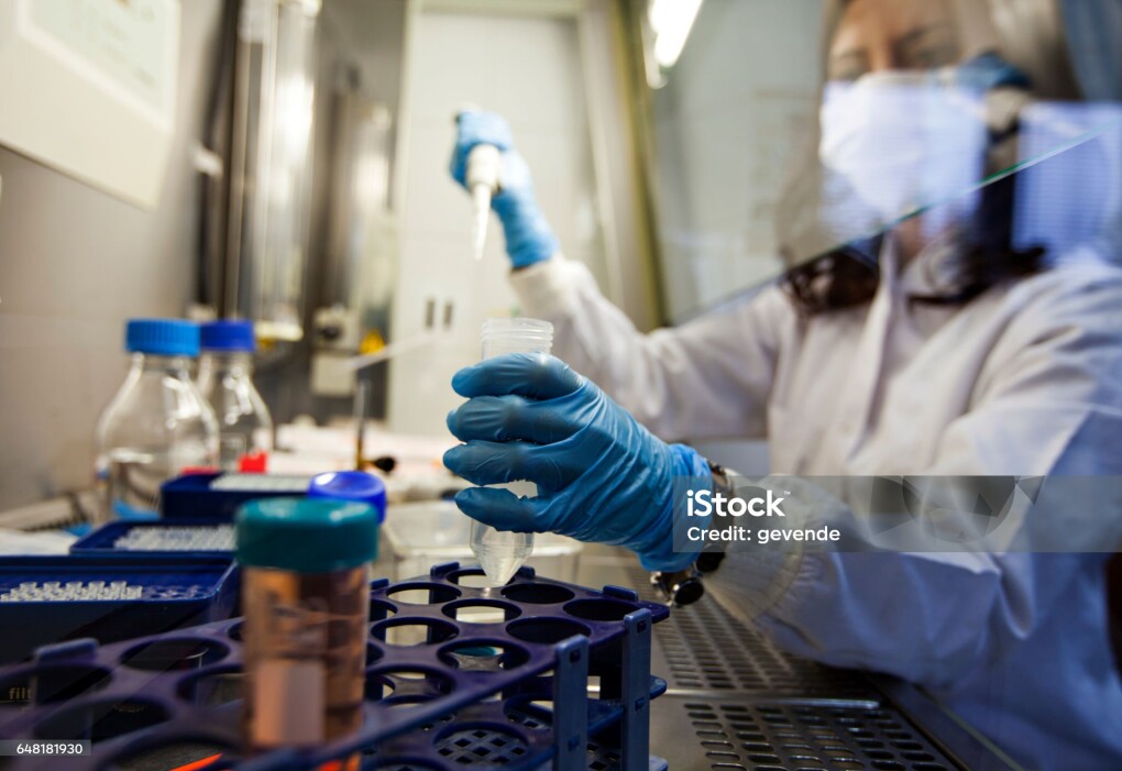 young doctor researches in lab