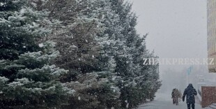 Дождь, снег и гололед: синоптики рассказали о погоде на 7 декабря