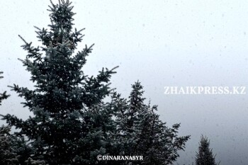 жп кыс орал 2025 (4)