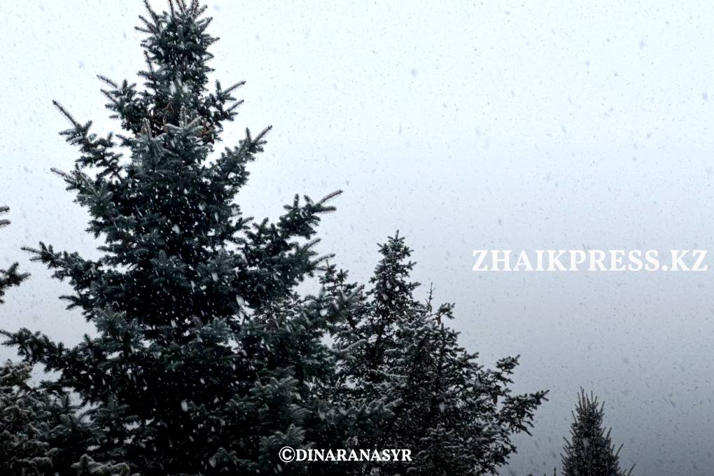 жп кыс орал 2025 (4)