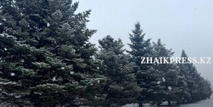 Зима не прощается: снег и метель прогнозируют в Казахстане 2 марта