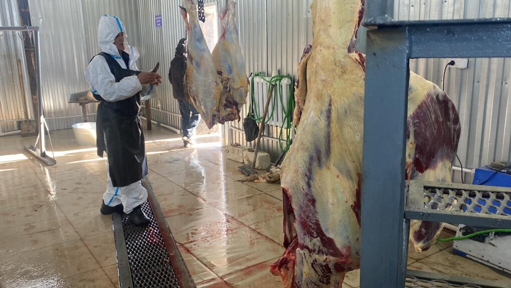 0d629181-1053-4784-a280-67497c2901b4