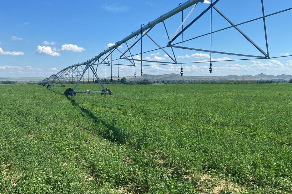 10eb48303f491a7a2907634cfa07b20c_1280x720