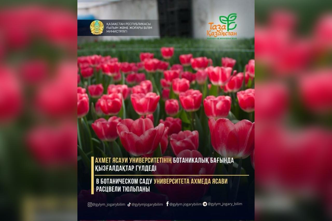 2af314b6-5e82-48e8-b8a6-3b80394023fb