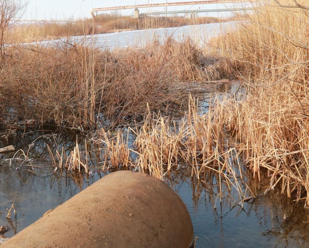 5e29c8ec-9f0e-4742-bdd5-4e5f3140a790 (1)