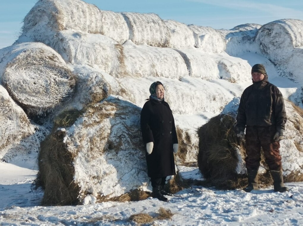 8a6e5e63-ff86-4a46-a5b3-52892cf6de56