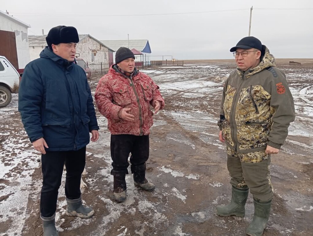 FB_IMG_1738842419657