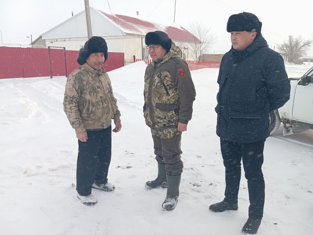 FB_IMG_1740467761051