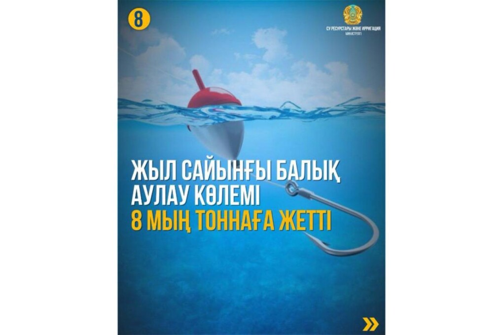 WhatsApp Image 2025-02-10 at 11.25.21