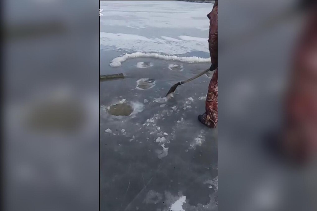 WhatsApp Image 2025-02-18 at 10.59.43